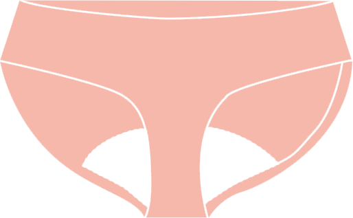 menstrual panty